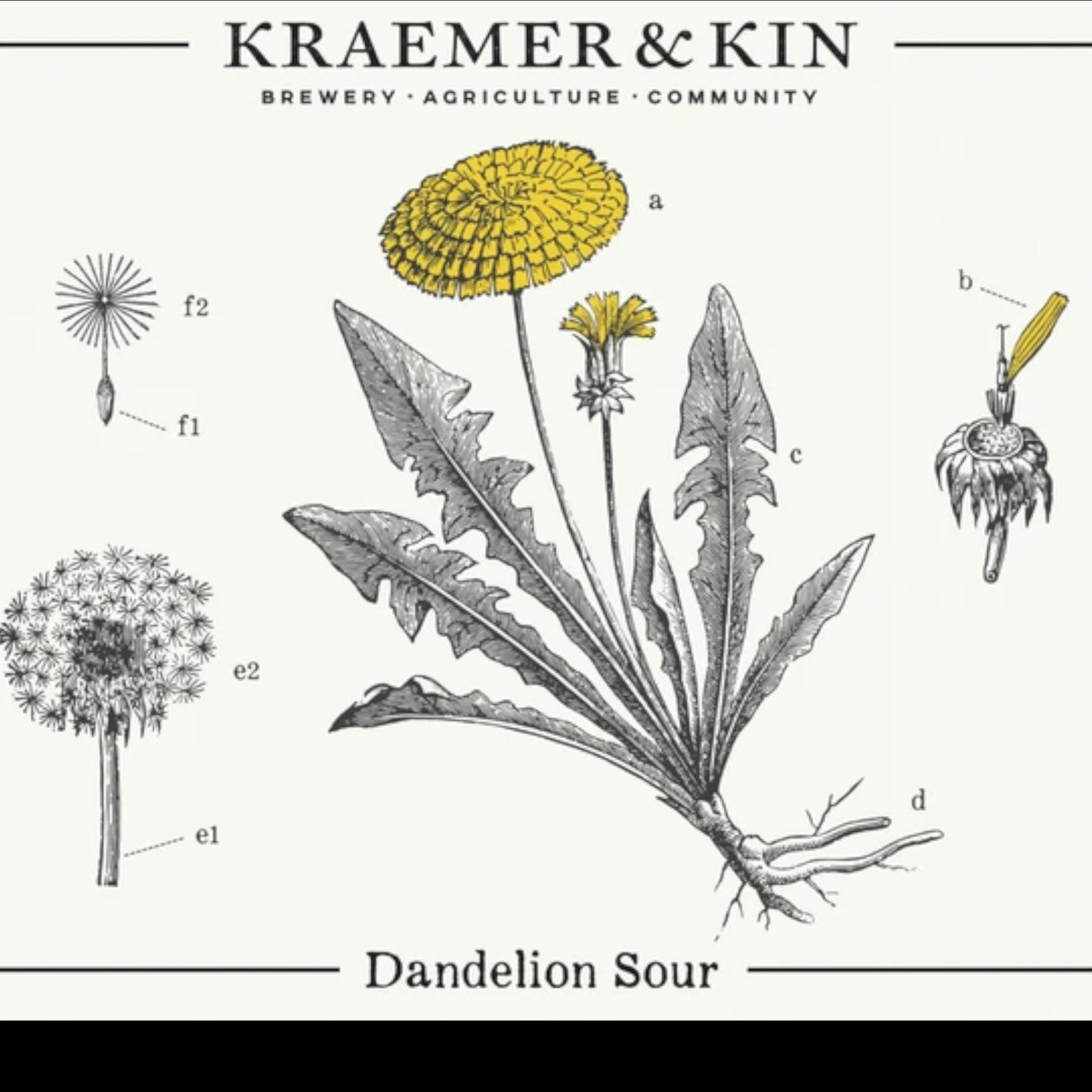 Stowe Public House & Bottle Shop Kraemer & Kin Dandelion Sour ale label with botanical dandelion illustration