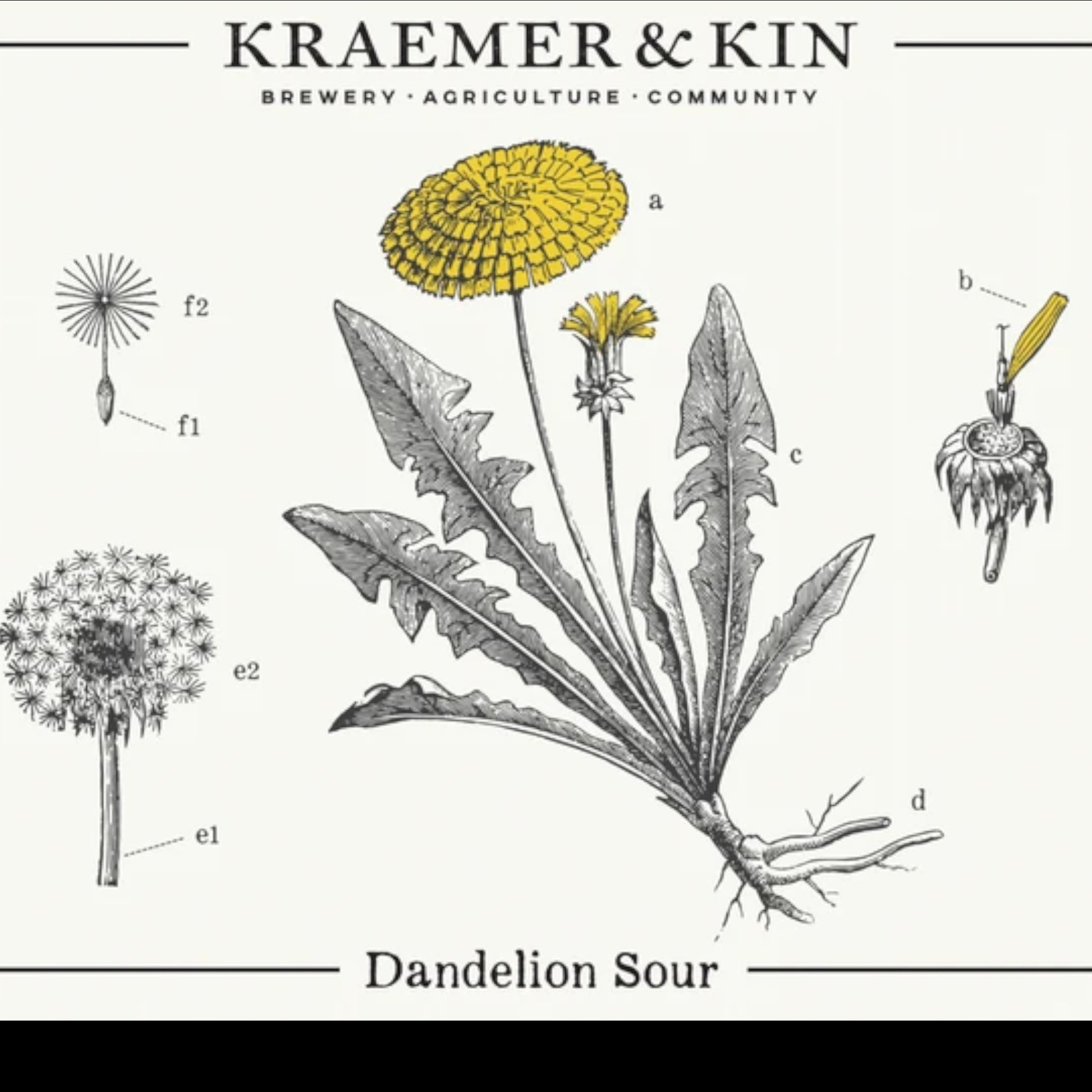 Stowe Public House & Bottle Shop Kraemer & Kin Dandelion Sour ale label with botanical dandelion illustration