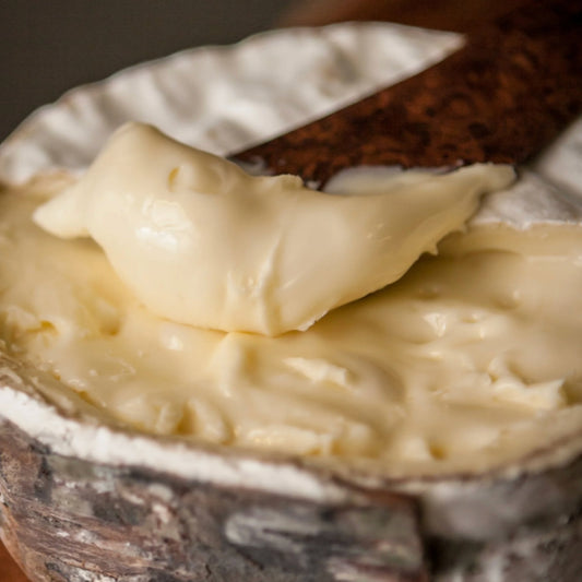 Stowe Public House & Bottle Shop Jasper Hill Farm Harbison Mini cheese with bloomy rind and soft interior, wrapped in spruce cambium.