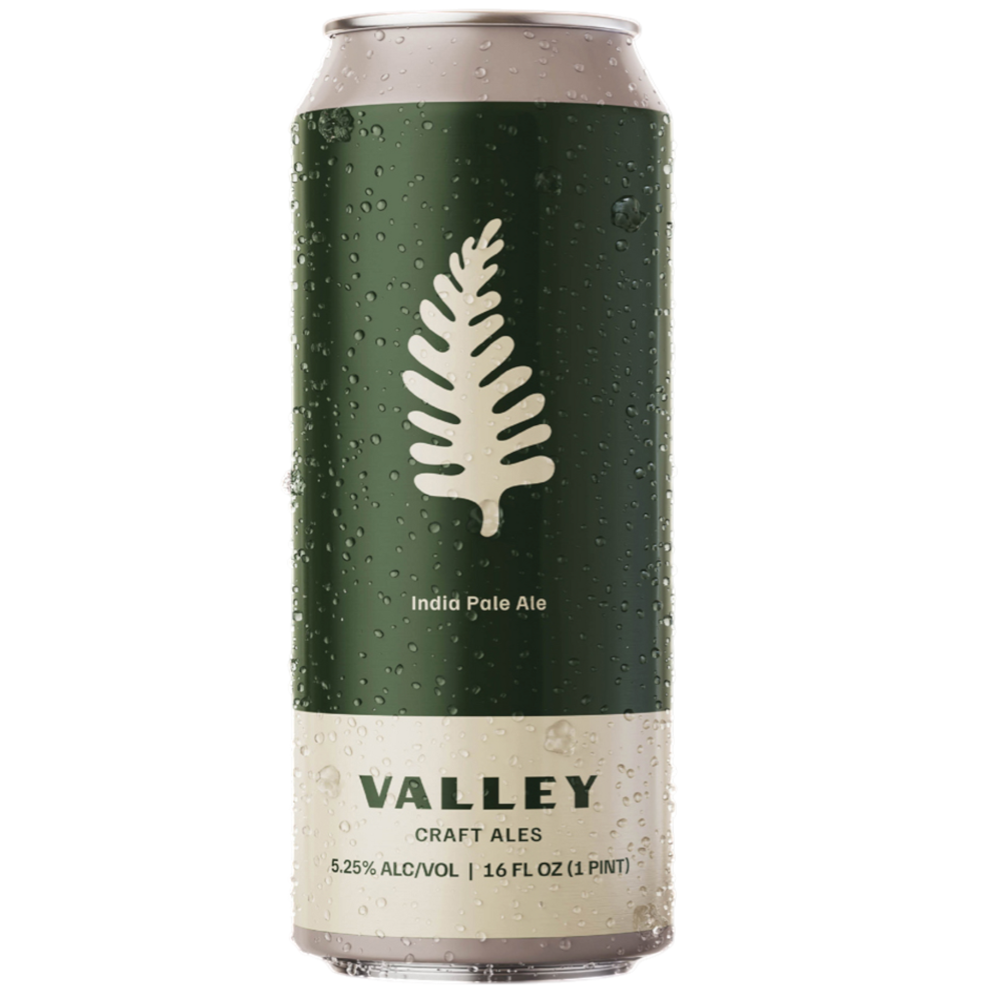 Stowe Public House & Bottle Shop Valley Craft Ales For Wilmington With Love American IPA can with a fern graphic.